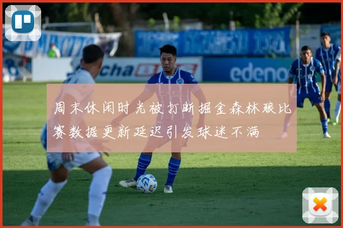 周末休闲时光被打断掘金森林狼比赛数据更新延迟引发球迷不满